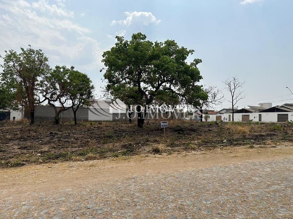 Lote - São Francisco