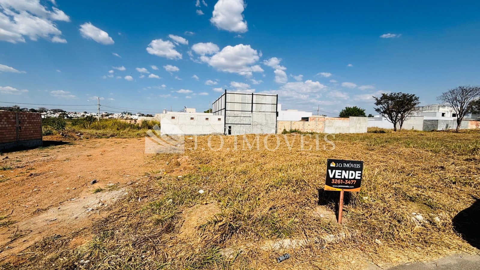 Lote - Rodolfo Pio